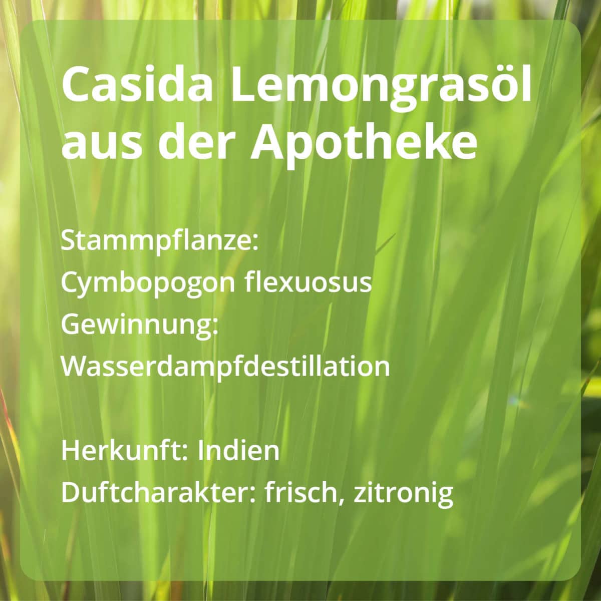 Lemongrasöl Zitronengrasöl PZN 15880739 Casida Ätherische Öle Stammpflanze Gewinnung Herkunft naturrein