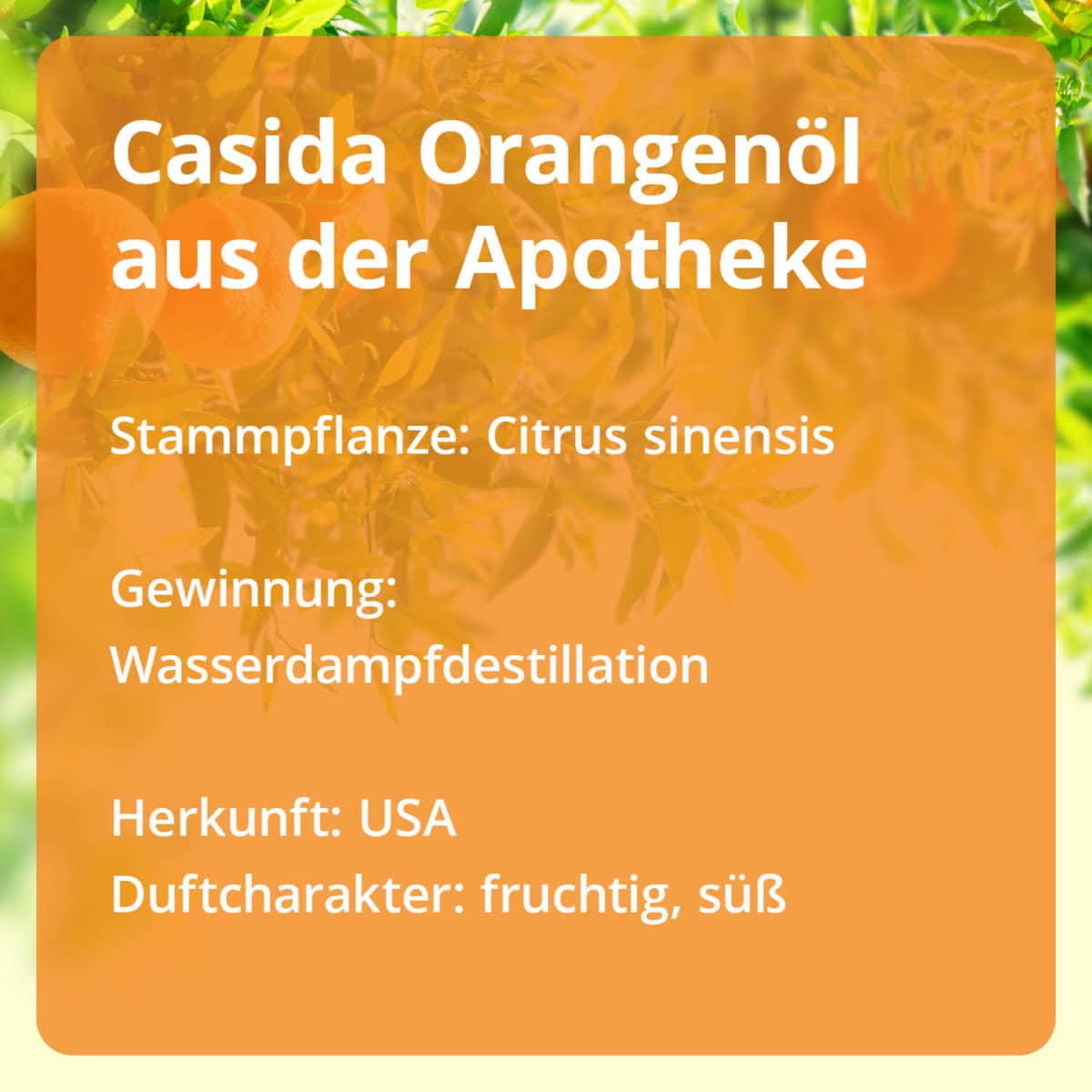 Orangenöl Casida PZN 15880745 Ätherische Öle Stammpflanze Gewinnung Herkunft naturrein