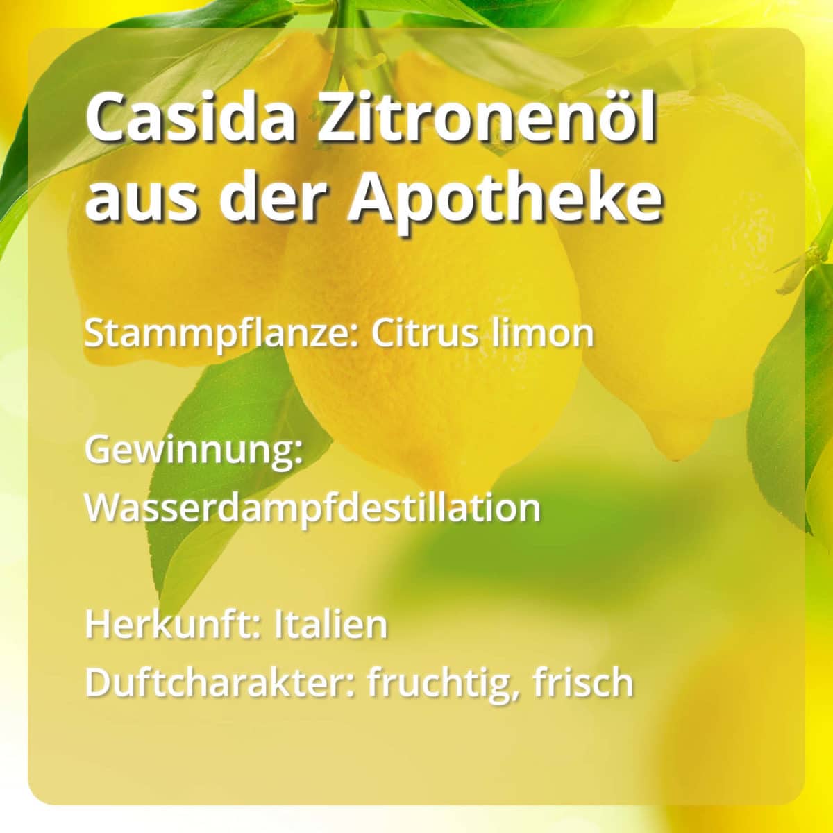 Zitronenöl Casida PZN 15880797 Ätherische Öle Stammpflanze Gewinnung Herkunft naturrein18