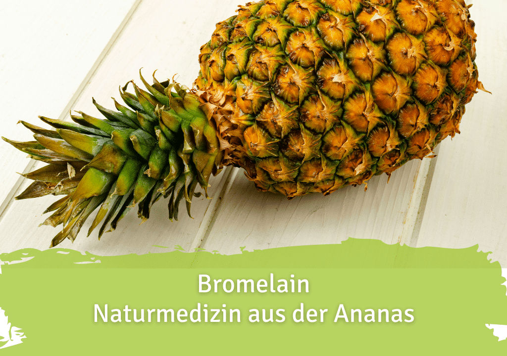 Bromelain - Wirkung & Einsatzgebiete des Ananas-Enzyms