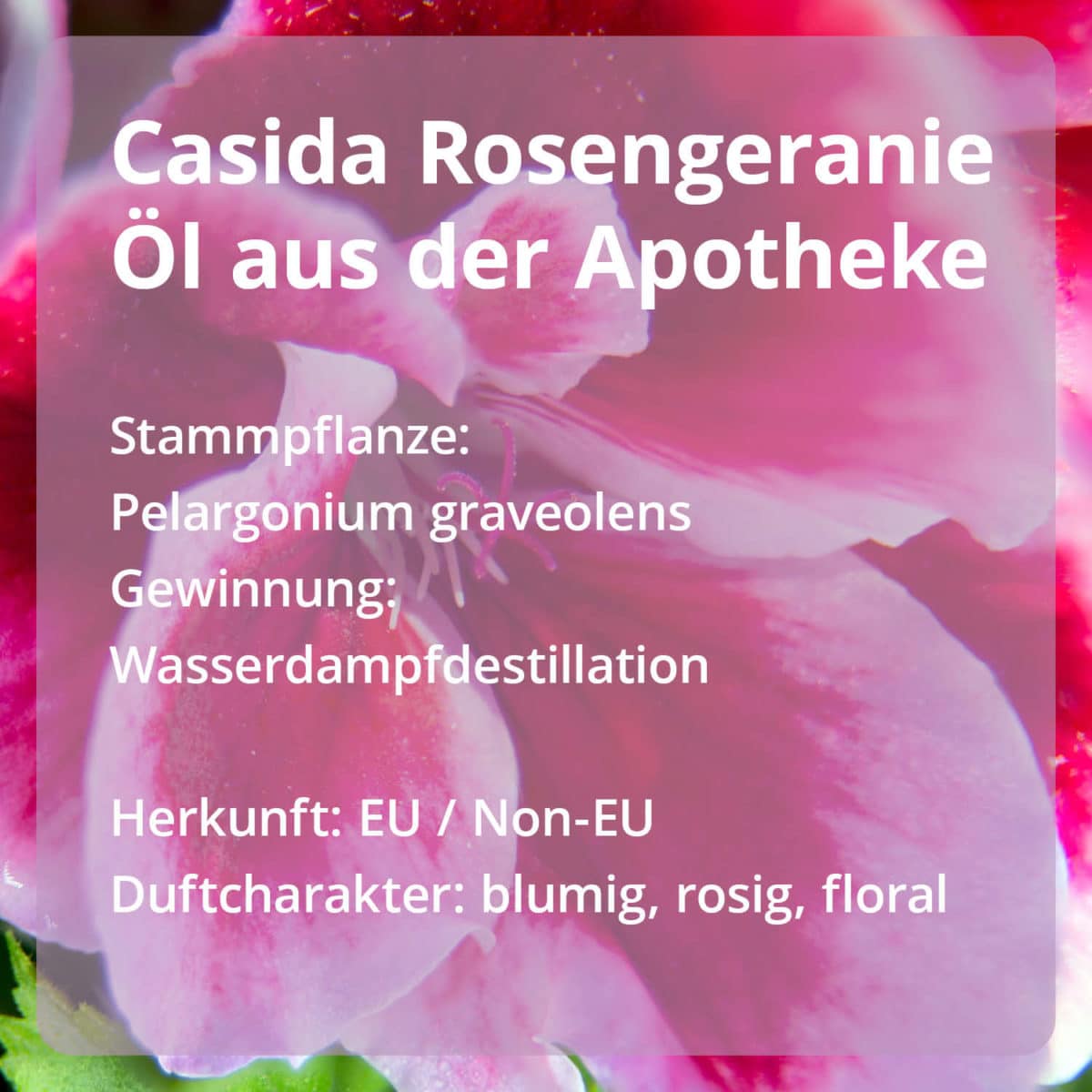 Casida Rosengeranie Öl naturrein – 5 ml 18186057 PZN Apotheke ätherische Öle Diffuser Pelargonium graveolens3