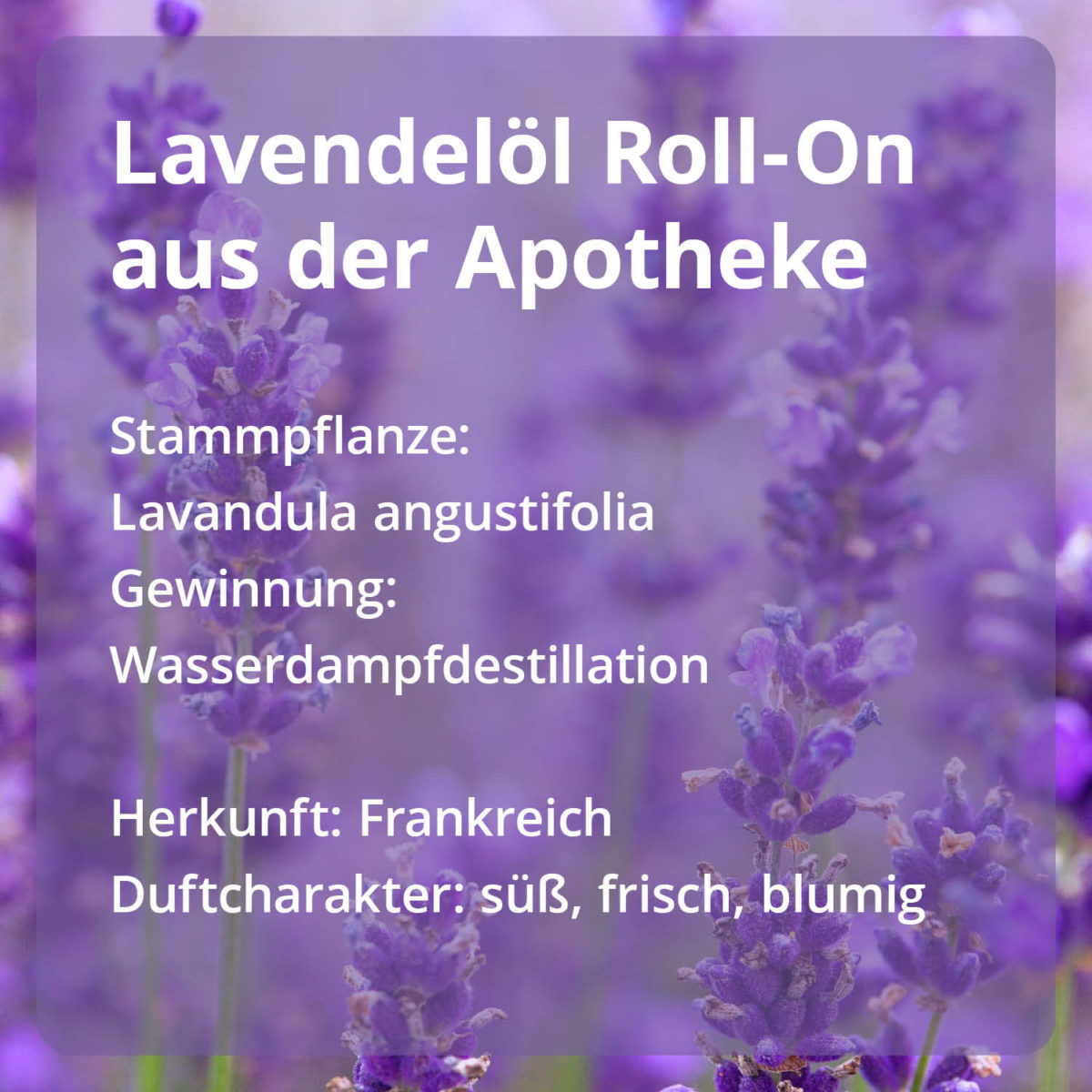Lavendel Roll-On