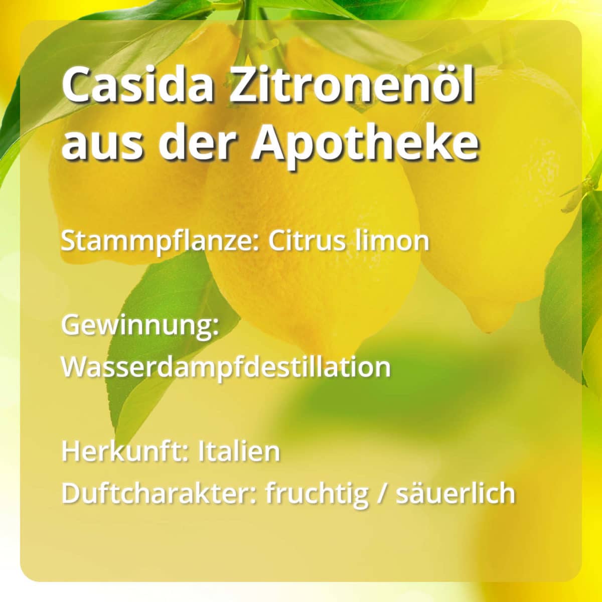 Casida Set Riechtraining Eukalyptus Zitrone Nelke Rosengeranie Anleitung Protokoll3