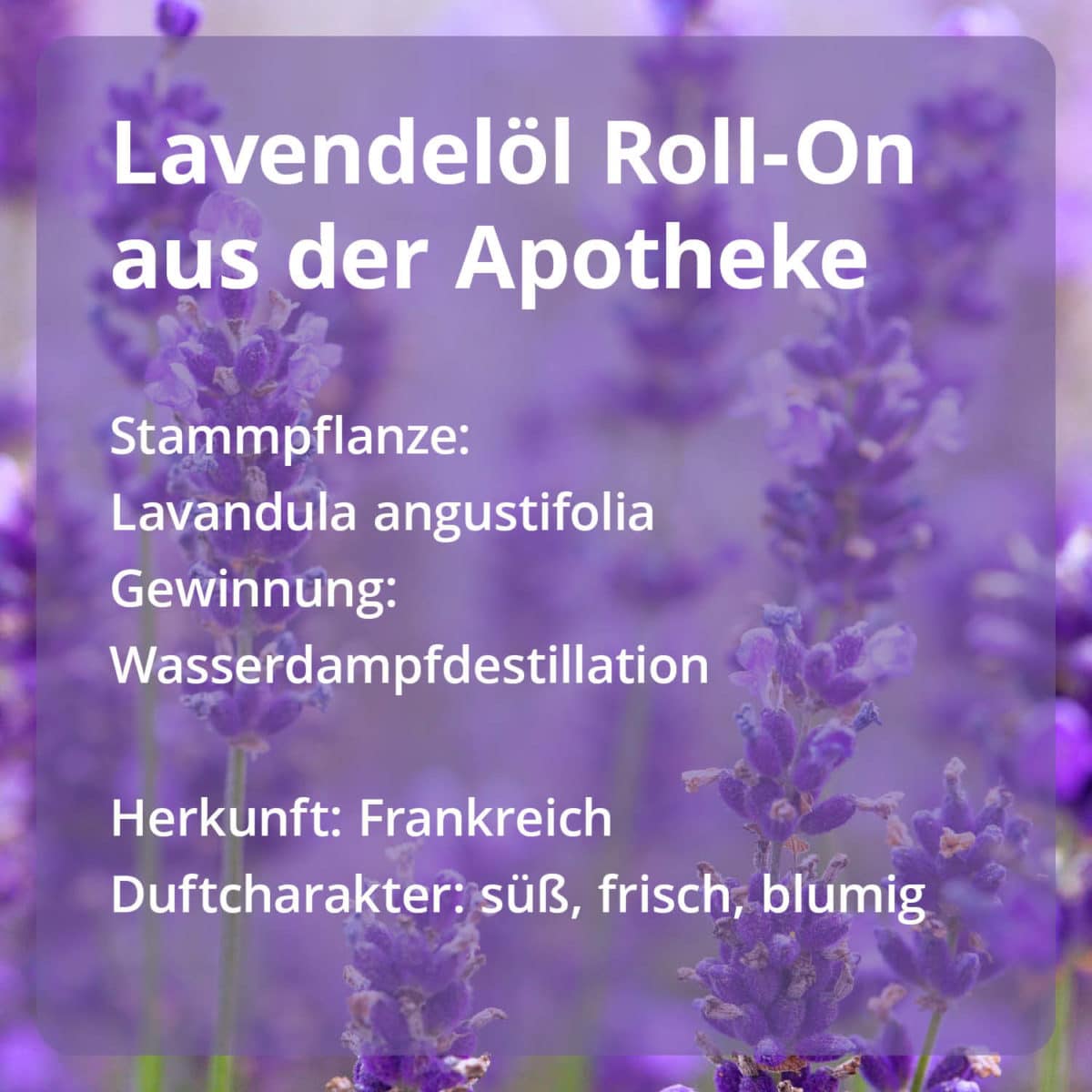 Roll-On Set Lavendel + Pfefferminz